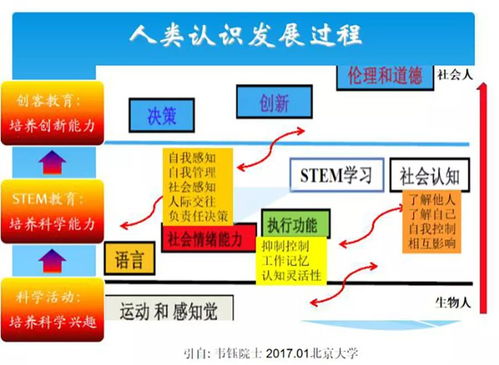 人工智能的浪潮 基礎軟件開發(fā)及其在科學教育中的革新應用
