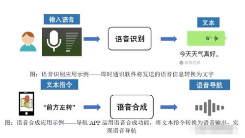 深耕人工智能上游，語(yǔ)音數(shù)據(jù)龍頭引領(lǐng)產(chǎn)業(yè)生態(tài)發(fā)展